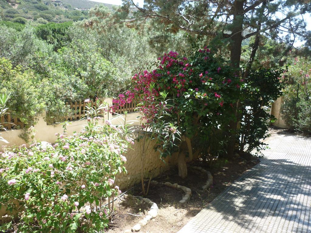 Villa Bonu Torre delle Stelle Eksteriør billede
